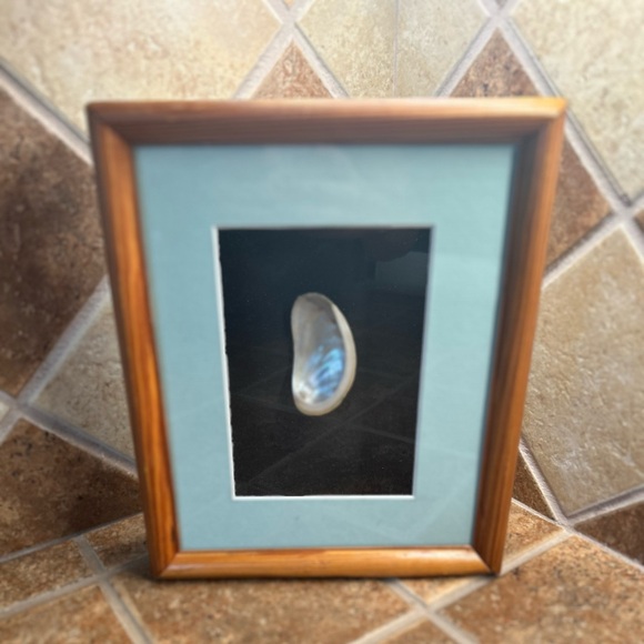 Framed Opalescent Abalone Seashell Art - Picture 1 of 3